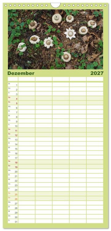 Produktbild: Familienplaner 2027 - Pilze - tolle Funde mit 5 Spalten (Wandkalender, 21 x 45 cm) CALVENDO