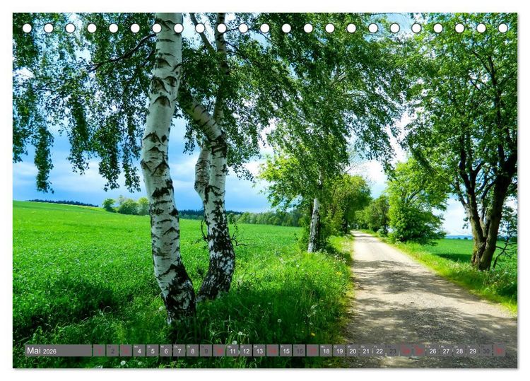 Produktbild: Wege finden immer ein Ziel (Tischkalender 2026 DIN A5 quer), CALVENDO Monatskalender