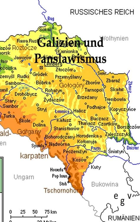 Produktbild: Galizien und der Panslawismus