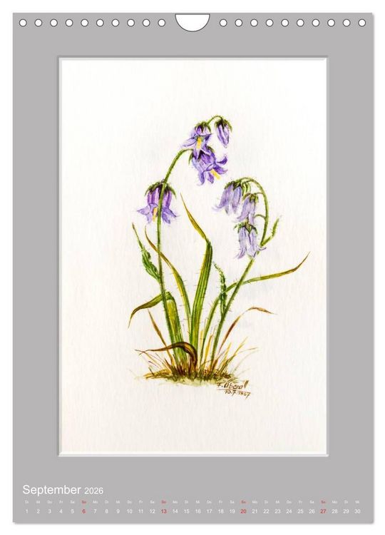 Produktbild: Alpenblumen Aquarelle aus Tirol (Wandkalender 2026 DIN A4 hoch), CALVENDO Monatskalender