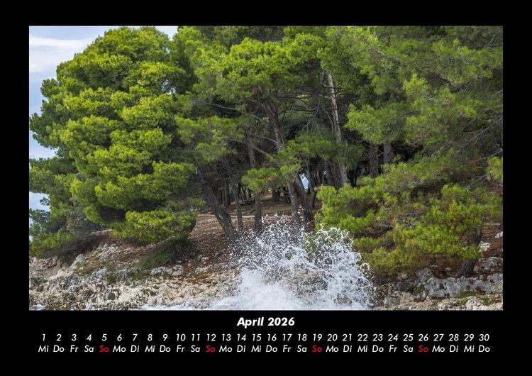Produktbild: B&auml;ume 2026 Fotokalender DIN A3