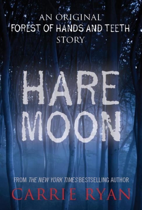 Produktbild: Hare Moon