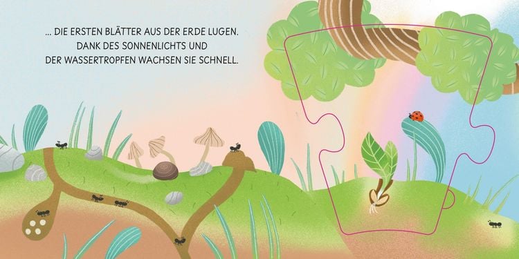 Produktbild: Eine Blume w&auml;chst