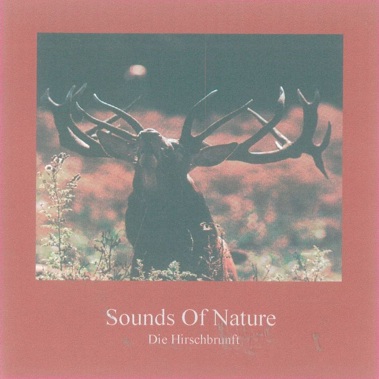 Produktbild: Sounds of Nature - Die Hirschbrunft