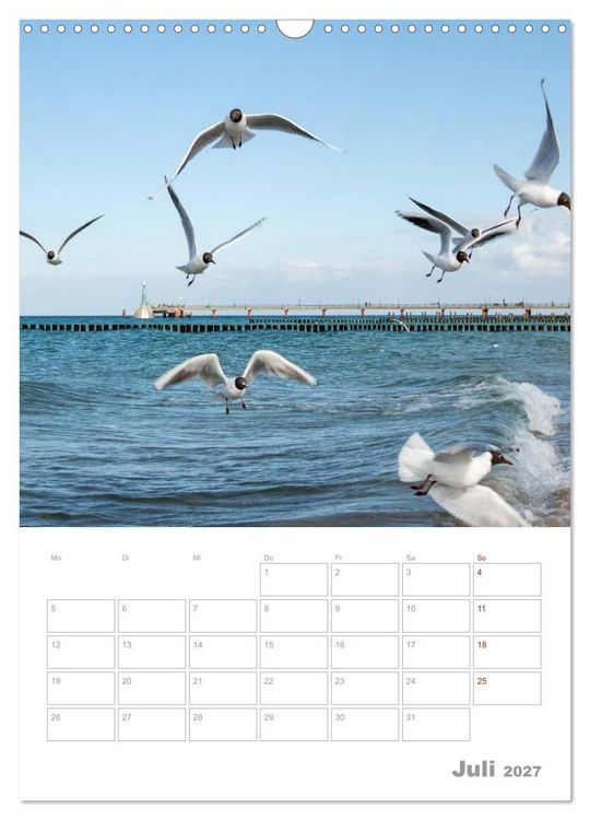 Produktbild: M&ouml;wen - die V&ouml;gel der K&uuml;ste (Wandkalender 2027 DIN A3 hoch), CALVENDO Monatskalender