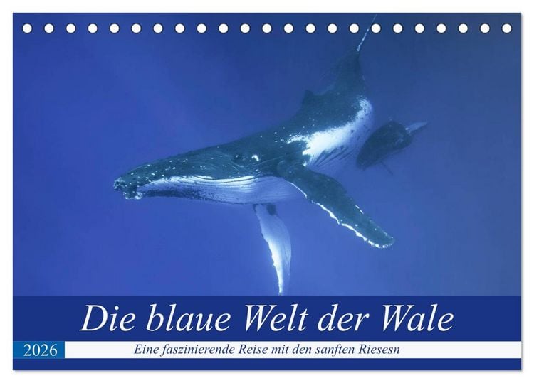 Produktbild: Die blaue Welt der Wale (Tischkalender 2026 DIN A5 quer), CALVENDO Monatskalender