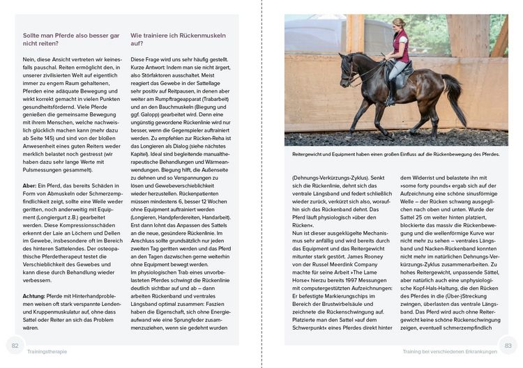 Produktbild: Trainingstherapie