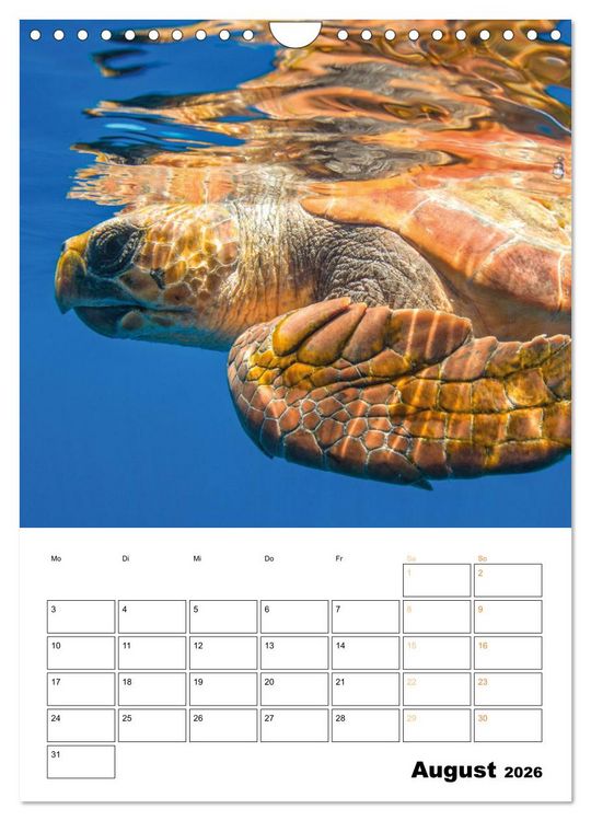 Produktbild: Wunderbare Wasserwelt der Meeresschildkr&ouml;ten (Wandkalender 2026 DIN A4 hoch), CALVENDO Monatskalender