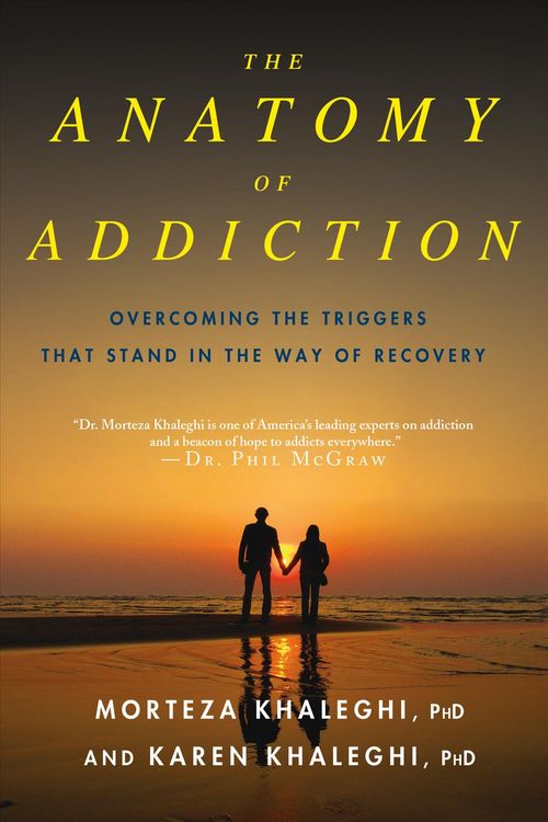 Produktbild: Anatomy Of Addiction