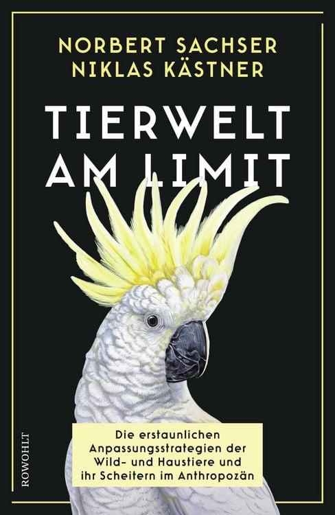 Produktbild: Tierwelt am Limit