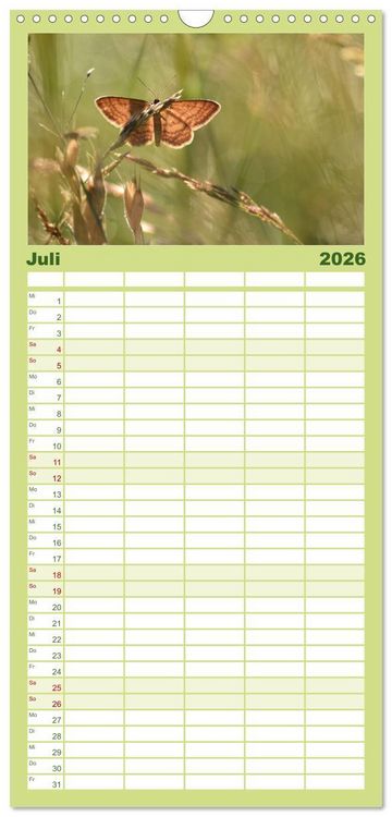 Produktbild: Familienplaner 2026 - Schmetterlinge. Schimmernde Zauberwesen mit 5 Spalten (Wandkalender, 21 x 45 cm) CALVENDO