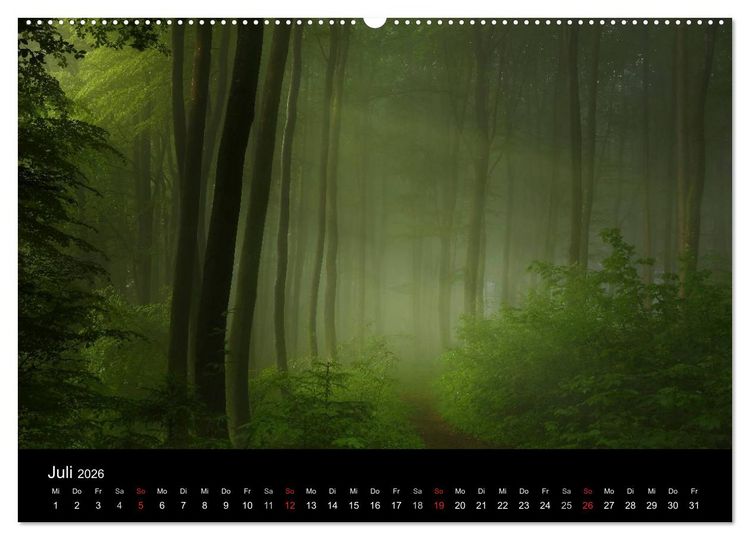 Produktbild: Mysterium Wald (hochwertiger Premium Wandkalender 2026 DIN A2 quer), Kunstdruck in Hochglanz