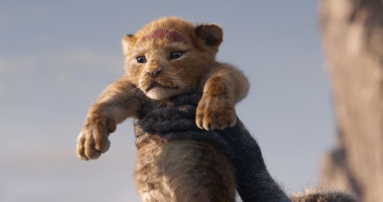 Produktbild: Der K&ouml;nig der L&ouml;wen (+ Blu-ray 2D)