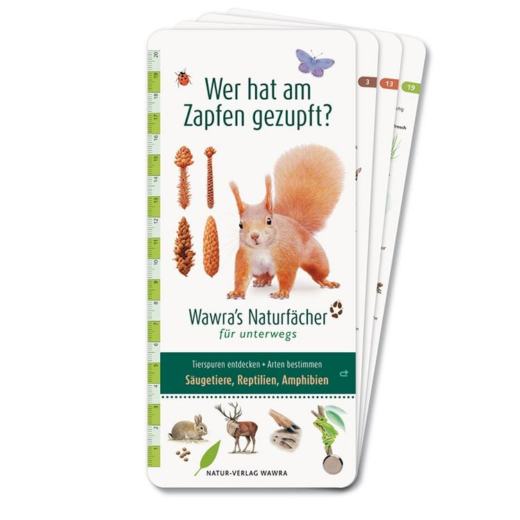 Produktbild: Wer hat am Zapfen gezupft? &ndash; Wawra's Naturf&auml;cher f&uuml;r unterwegs