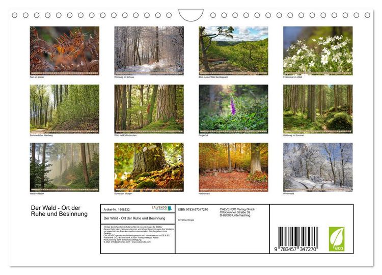 Produktbild: Der Wald - Ort der Ruhe und Besinnung (Wandkalender 2026 DIN A4 quer), CALVENDO Monatskalender