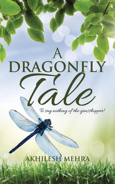 Produktbild: A Dragonfly Tale