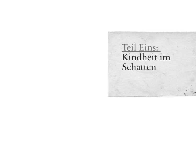 Produktbild: Schattenschicksale