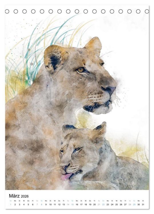 Produktbild: Afrikas Tierwelt - wie gemalt (Tischkalender 2026 DIN A5 hoch), CALVENDO Monatskalender