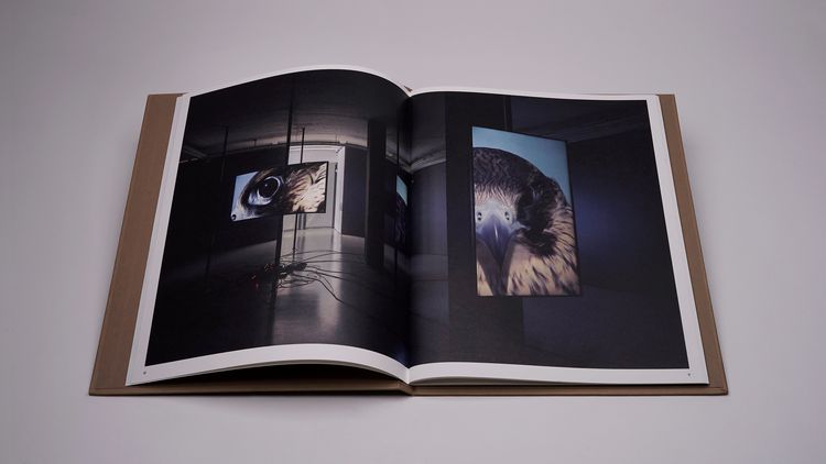 Produktbild: Jo&atilde;o Onofre &ndash; Untitled (in awe of)