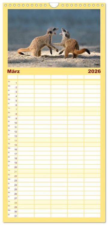 Produktbild: Familienplaner 2026 - Lustige Erdm&auml;nnchen mit 5 Spalten (Wandkalender, 21 x 45 cm) CALVENDO