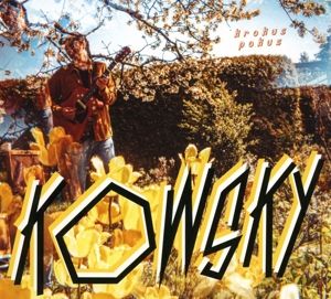 Produktbild: Krokus Pokus