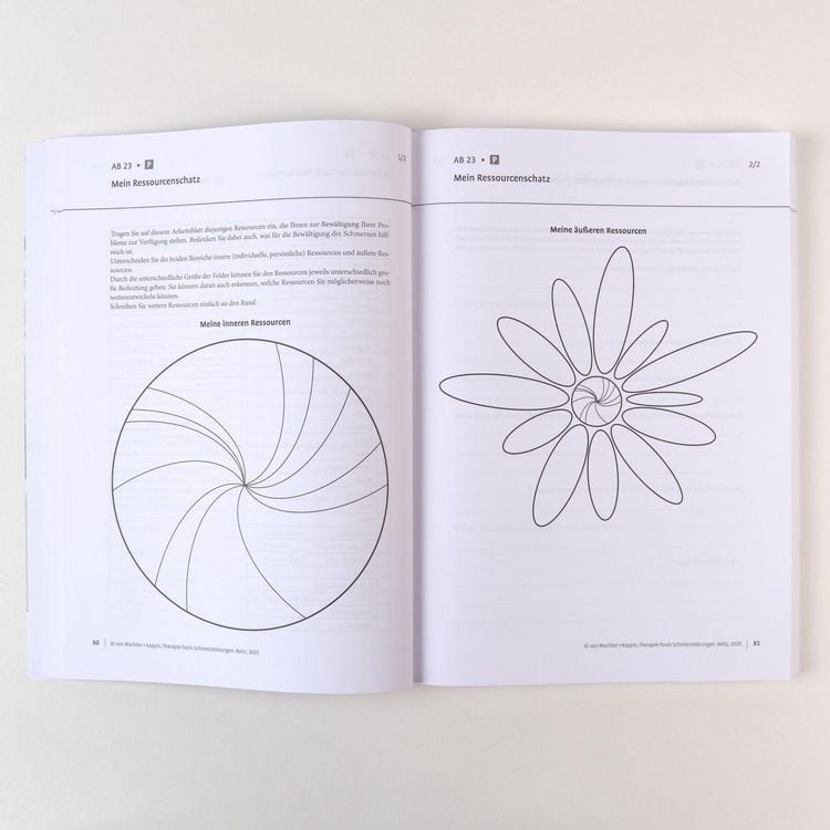 Produktbild: Therapie-Tools Schmerzst&ouml;rungen