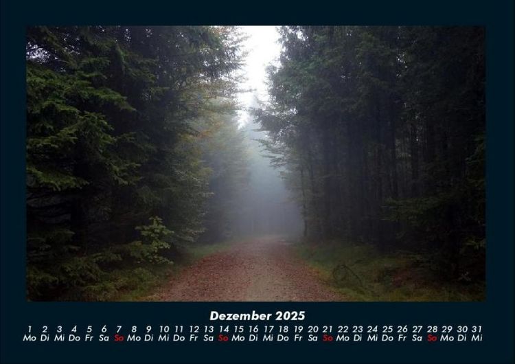 Produktbild: Waldzauber 2025 Fotokalender DIN A4
