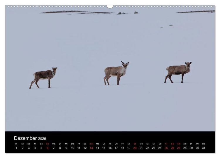 Produktbild: Tierkalender 2026 (hochwertiger Premium Wandkalender 2026 DIN A2 quer), Kunstdruck in Hochglanz