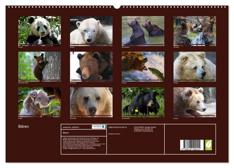 Produktbild: B&auml;ren (hochwertiger Premium Wandkalender 2026 DIN A2 quer), Kunstdruck in Hochglanz