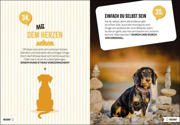 Produktbild: 100 Dinge, die man von einem Hund lernen kann