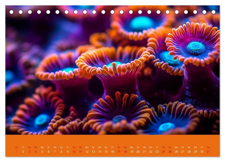 Produktbild: Farbenpracht im Ozean - Die Sch&ouml;nheit der Korallen (Tischkalender 2026 DIN A5 quer), CALVENDO Monatskalender