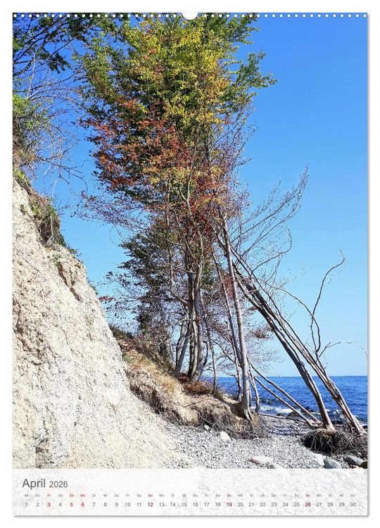 Produktbild: Im Nationalpark Jasmund - Naturwunder auf der Ostseeinsel R&uuml;gen (hochwertiger Premium Wandkalender 2026 DIN A2 hoch), Kunstdruck in Hochglanz