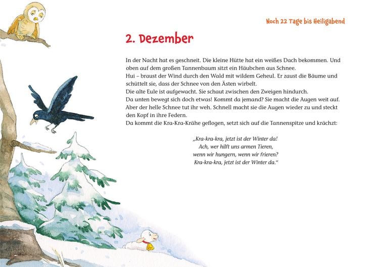 Produktbild: Rica erlebt die Waldweihnacht
