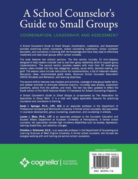 Produktbild: A School Counselor's Guide to Small Groups