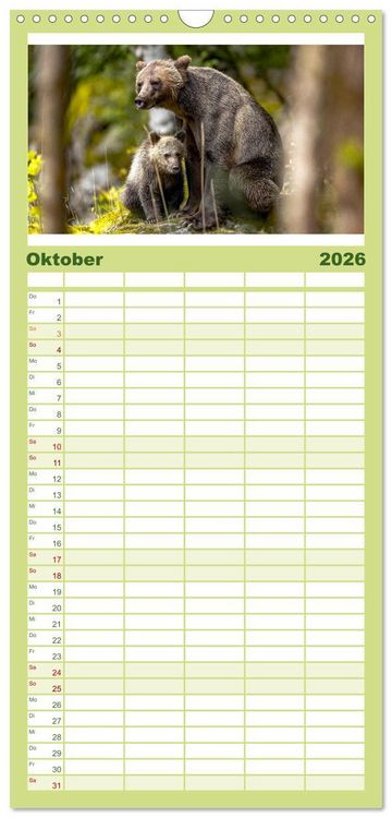 Produktbild: Familienplaner 2026 - B&auml;ren - Pandas, Grizzlyb&auml;ren und Co. mit 5 Spalten (Wandkalender, 21 x 45 cm) CALVENDO