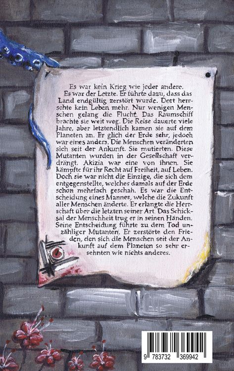 Produktbild: Verborgene Seelen. Illustrierter Fantasyroman auf einem fremden Planeten