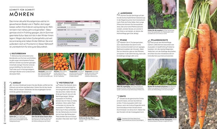 Produktbild: Kleiner Garten - gro&szlig;e Ernte