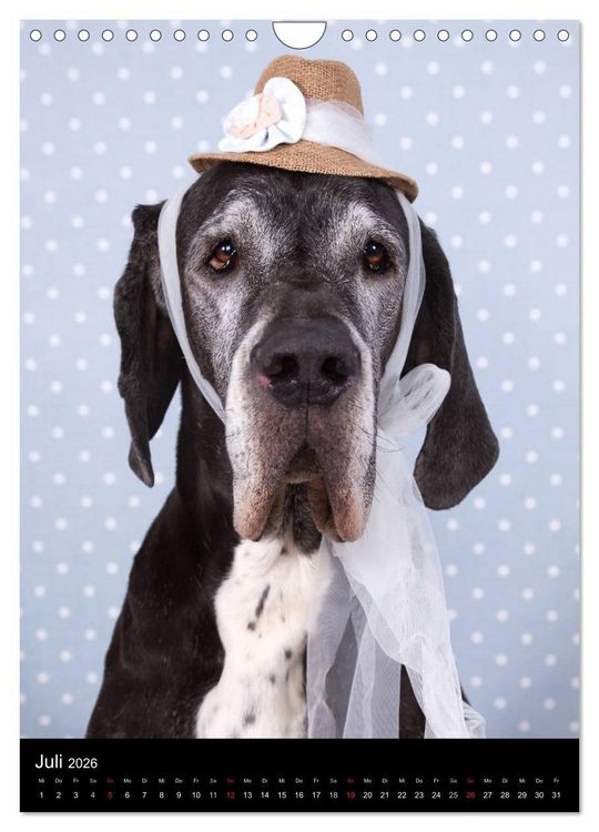 Produktbild: Faszination Deutsche Dogge (Wandkalender 2026 DIN A4 hoch), CALVENDO Monatskalender