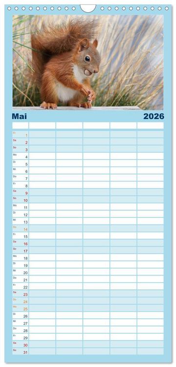 Produktbild: Familienplaner 2026 - Eichh&ouml;rnchen Luna und ihre Kinder mit 5 Spalten (Wandkalender, 21 x 45 cm) CALVENDO