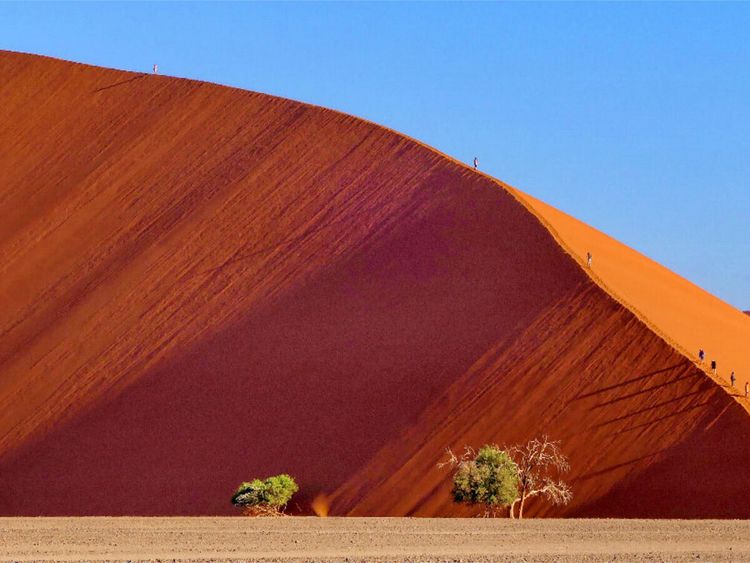 Produktbild: CALVENDO Puzzle D&uuml;ne 45 Sossusvlei | 1000 Teile Lege-Gr&ouml;&szlig;e 64x48cm Foto-Puzzle f&uuml;r gl&uuml;ckliche Stunden