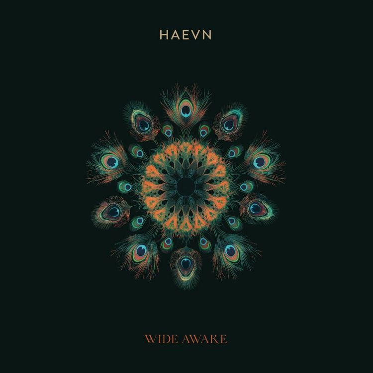 Produktbild: Wide Awake, 1 Schallplatte