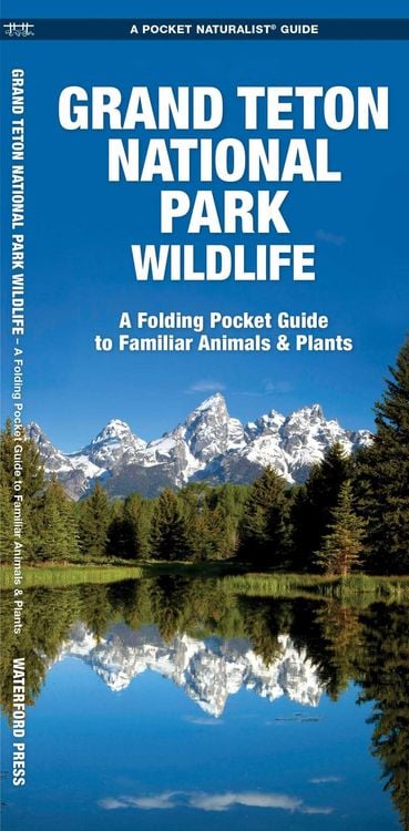 Produktbild: Grand Teton National Park Wildlife