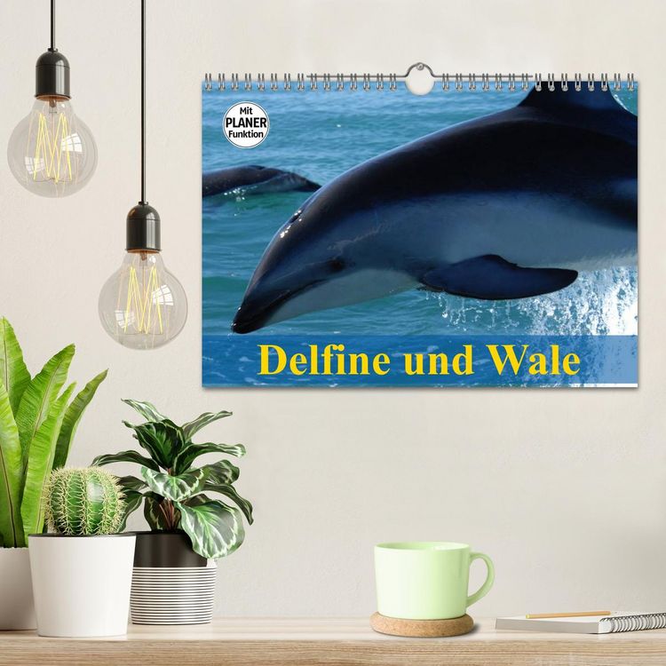 Produktbild: Delfine und Wale (Wandkalender 2026 DIN A4 quer), CALVENDO Monatskalender