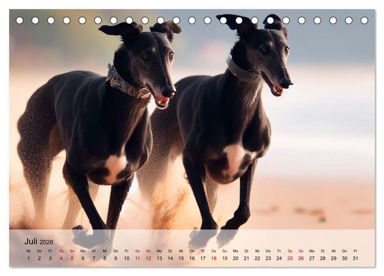 Produktbild: Black is beautiful (Tischkalender 2026 DIN A5 quer), CALVENDO Monatskalender