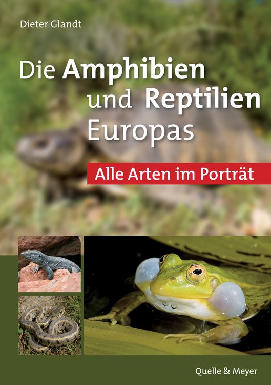 Produktbild: Die Amphibien und Reptilien Europas