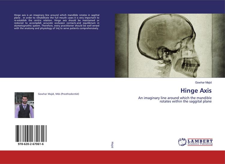 Produktbild: Hinge Axis