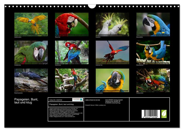 Produktbild: Papageien. Bunt, laut und klug (Wandkalender 2026 DIN A3 quer), CALVENDO Monatskalender