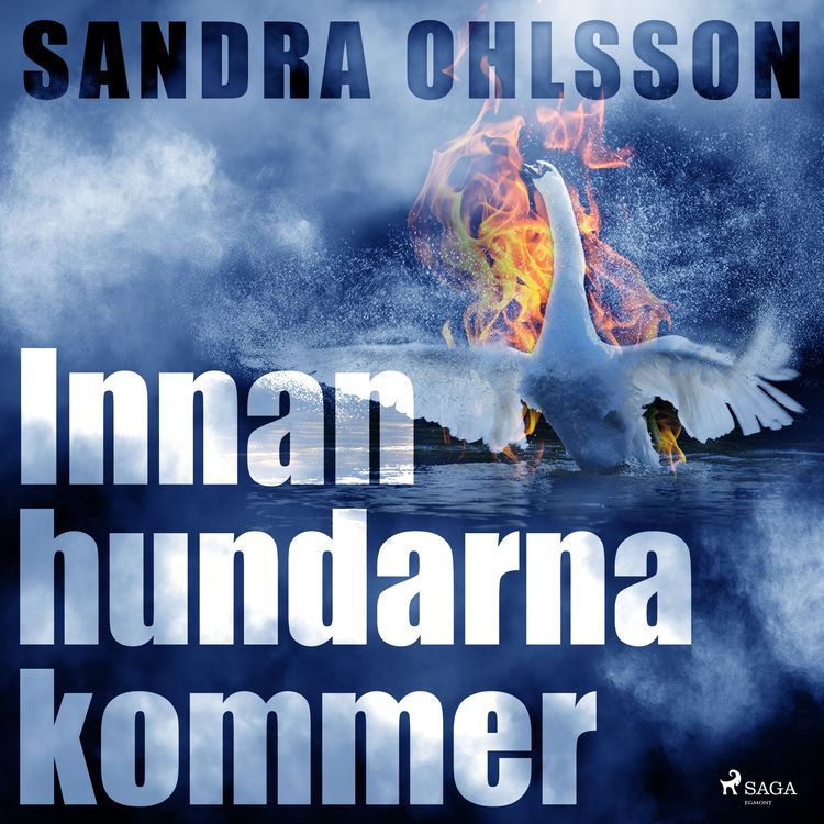 Produktbild: Innan hundarna kommer
