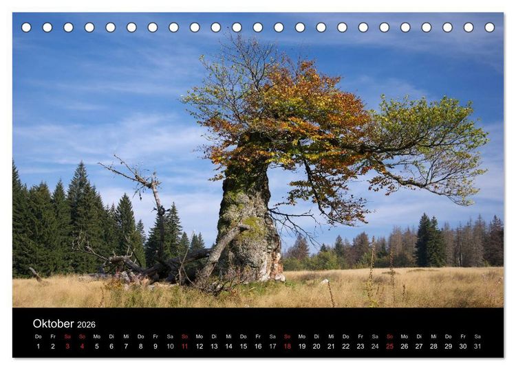 Produktbild: Bayerischer Wald - der Osten Bayerns (Tischkalender 2026 DIN A5 quer), CALVENDO Monatskalender