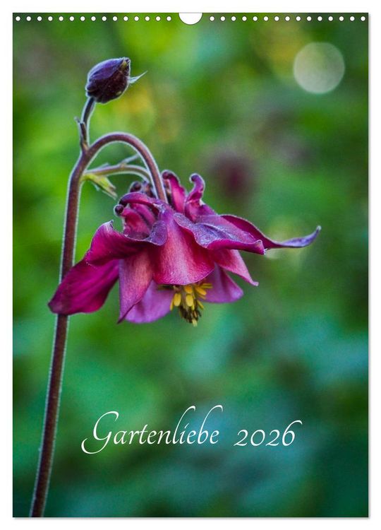 Produktbild: Gartenliebe (Wandkalender 2026 DIN A3 hoch), CALVENDO Monatskalender